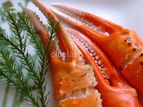 タラバガニとズワイガニはどっちが高い 美味しい部位と食べ方 知恵ラボ