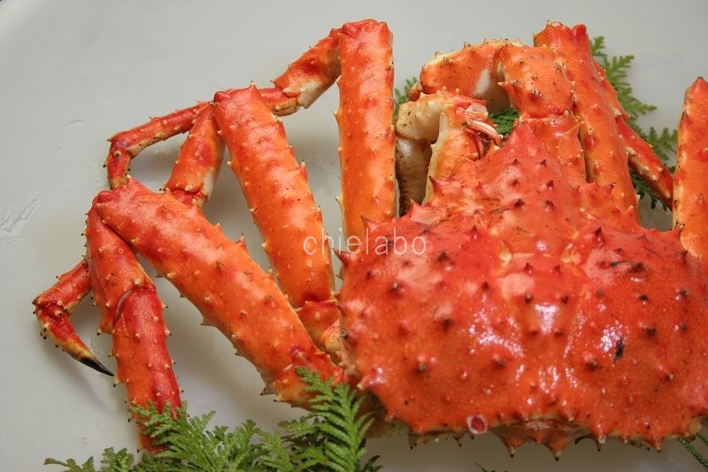 タラバガニとズワイガニはどっちが高い！？美味しい部位と食べ方！ 知恵ラボ