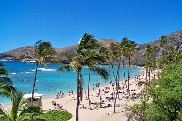 ハワイが日焼け止めを禁止にした理由とは！？日本から持参したら罰金？