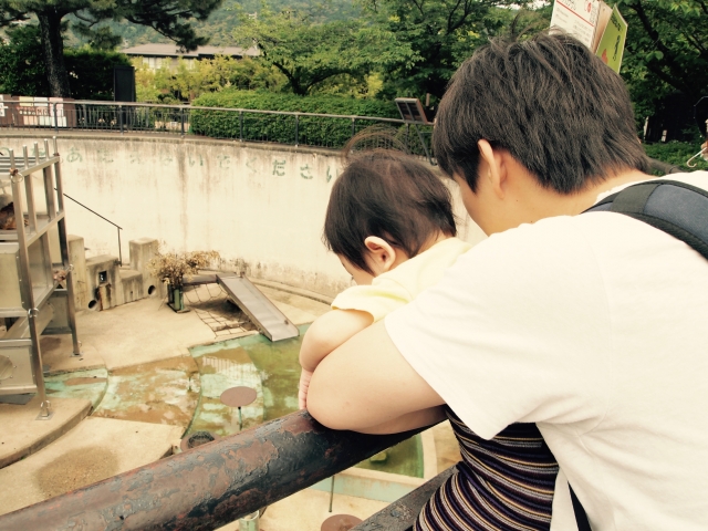 赤ちゃんが動物園にデビューさせるタイミングはいつ 知恵ラボ