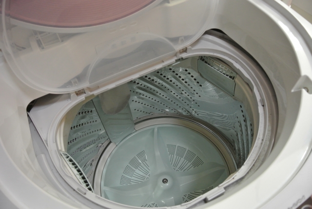 洗濯機の掃除をしてピロピロワカメを撃退する方法と発生する原因