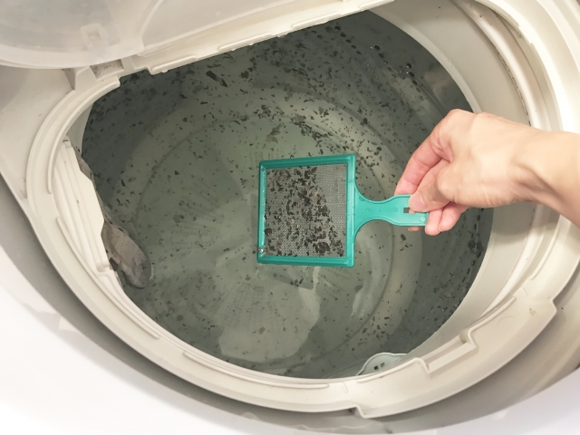 洗濯機の掃除をしてピロピロワカメを撃退する方法と発生する原因